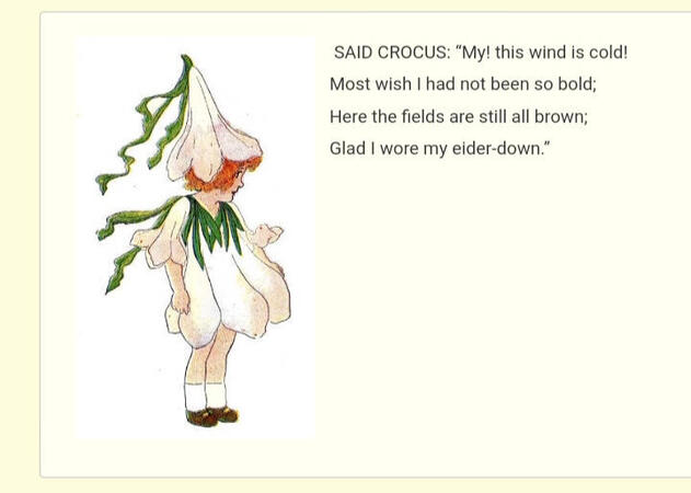 ㅤㅤㅤㅤ ㅤㅤㅤㅤㅤㅤ“Crocus”