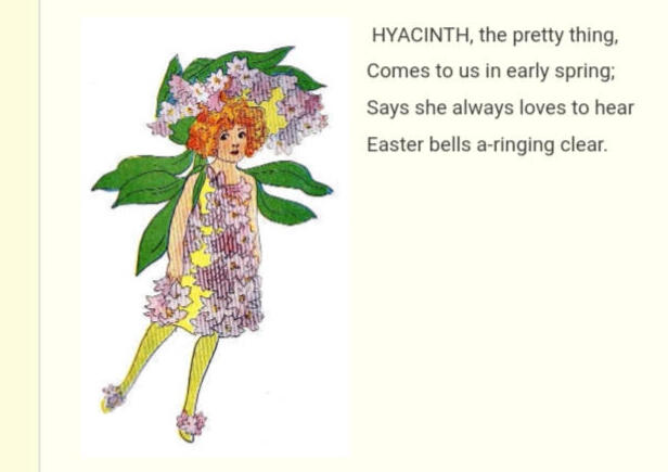 ㅤㅤㅤㅤ ㅤㅤㅤㅤㅤ“Hyacinth”