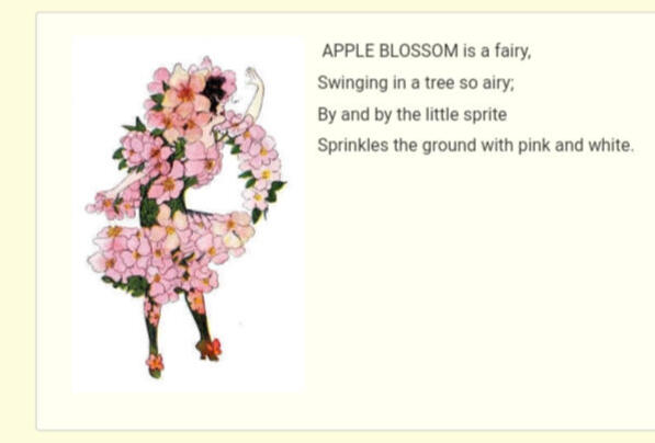 ㅤㅤㅤㅤ ㅤㅤ“Apple Blossom”