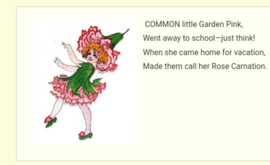 ㅤㅤㅤㅤ ㅤㅤ“Common Pink”