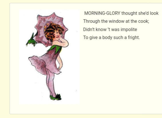 ㅤㅤㅤㅤ ㅤㅤ“Morning-Glory”