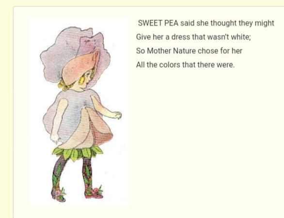 ㅤㅤㅤㅤ ㅤㅤㅤㅤ“Sweet Pea”