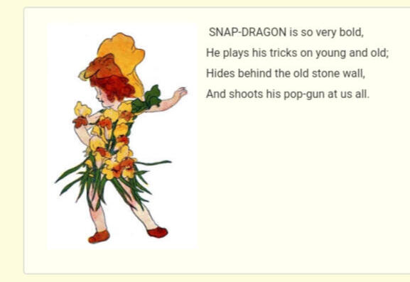 ㅤㅤㅤㅤ ㅤㅤㅤ“Snap-Dragon”
