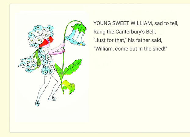 ㅤㅤㅤㅤ ㅤㅤ“Sweet William”