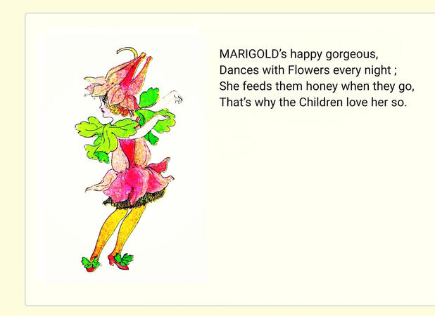 ㅤㅤㅤㅤ ㅤㅤㅤㅤ“Marigold”