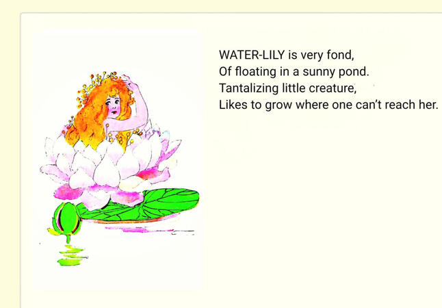 ㅤㅤㅤㅤ ㅤㅤㅤㅤ“Water-Lily”