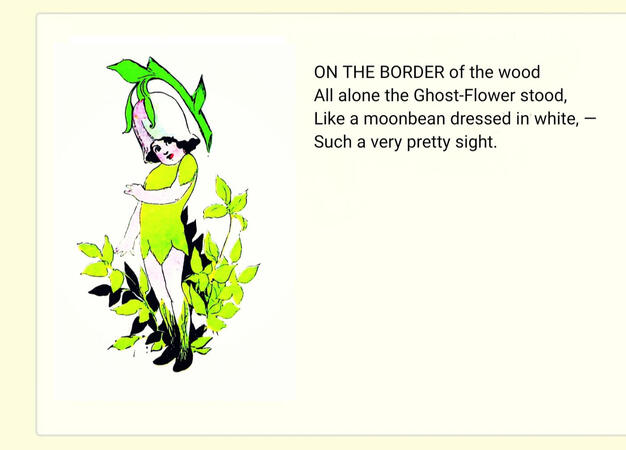 ㅤㅤㅤㅤ ㅤㅤ“Ghost-Flower”