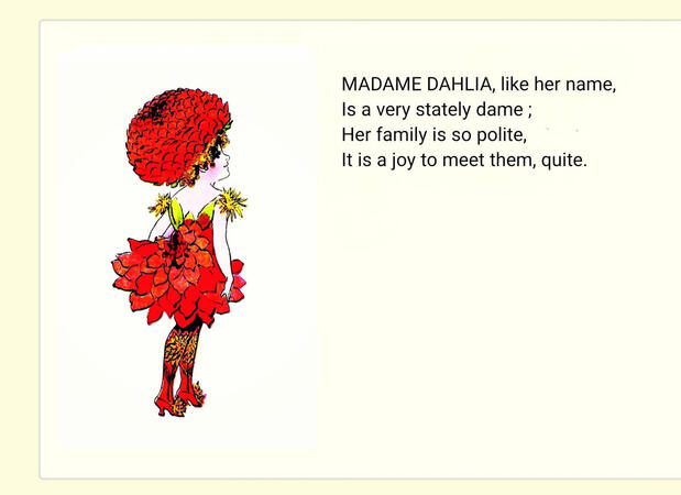 ㅤㅤㅤㅤ ㅤㅤㅤㅤㅤㅤ“Dahlia”
