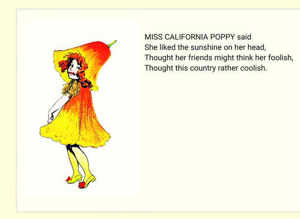 ㅤㅤ ㅤㅤㅤ“California Poppy”