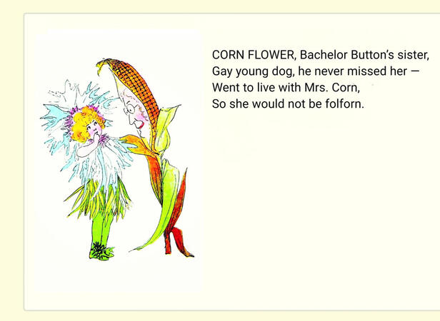 ㅤㅤㅤㅤ ㅤㅤㅤㅤ“Corn Flower”