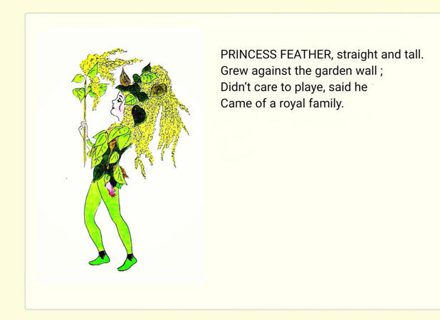 ㅤㅤㅤㅤ ㅤ“Princess Feather”
