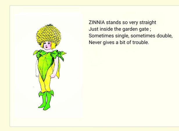 ㅤㅤㅤㅤ ㅤㅤㅤㅤㅤㅤ“Zinnia”